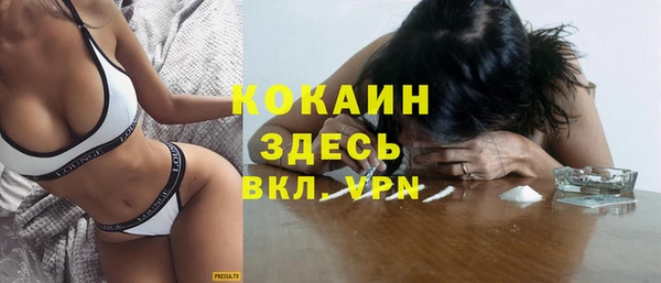 мдпв Бородино