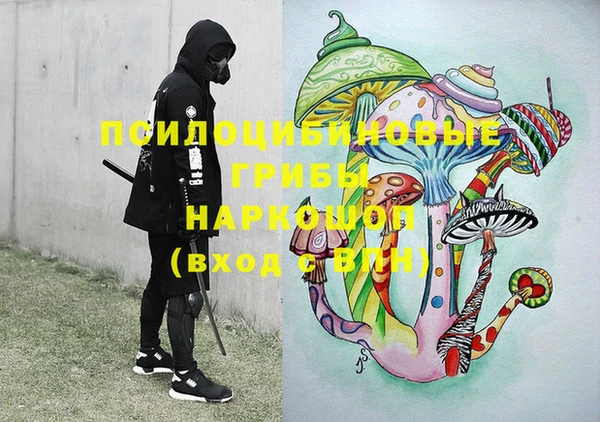 стаф Бронницы