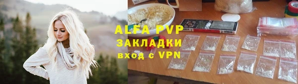 мдпв Бородино