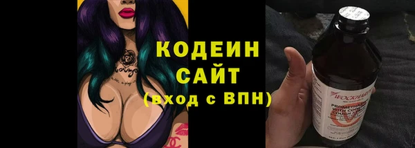 мдпв Бородино