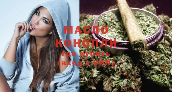 мдпв Бородино