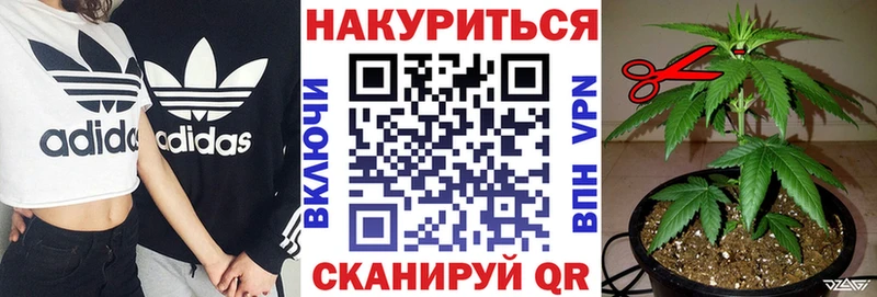 Марихуана индика  где купить наркоту  кракен рабочий сайт  Трёхгорный 